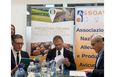 Avicoltura, chiediamo al Ministro Lollobrigida di intensificare le azioni di tutela dei nostri prodotti agroalimentari