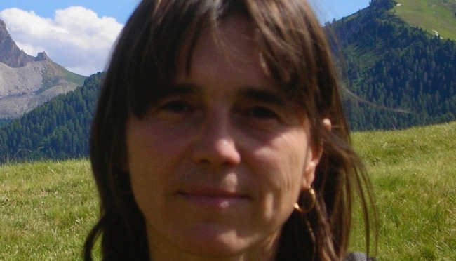 Alessandra Lunardi docente ordinaria di Analisi matematica al Dipartimento di Scienze Matematiche, Fisiche e Informatiche dell&#039;Università di Parma