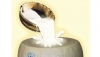 Lattiero Caseario: “Il latte prende il volo”  