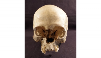 Lo strano caso del cranio trovato nella Grotta Marcel Loubens, vicino a Bologna