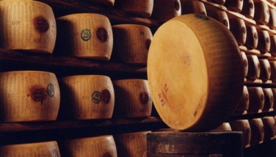 Parmigiano Reggiano: il CODACONS presenta esposto alle procure.