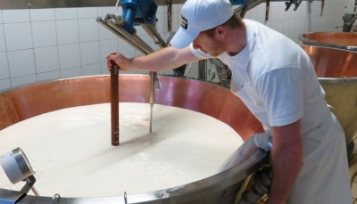 Quote latte Parmigiano Reggiano: in un anno scambi per 18 milioni