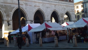 Piacenza - Provvedimenti alla circolazione in occasione della festa di Capodanno