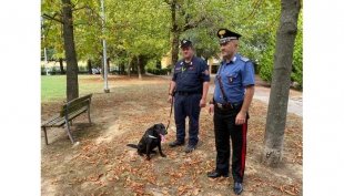 Ritrovamento di alcune esche mortali all&#039;interno di un parco da parte del Comando Provinciale Carabinieri Bologna