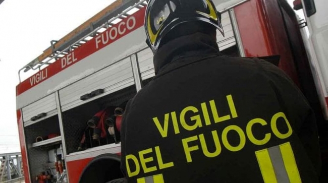 Reggio Emilia, cane muore folgorato da scarica elettrica dal tombino. Salva la padrona