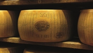 Parmigiano Reggiano: il mondo scientifico esplora le qualita&#039; nutrizionali