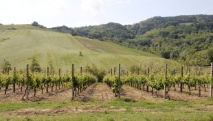 Emilia-Romagna prima regione per export agroalimentare
