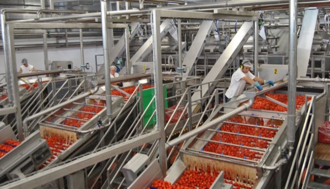 OI Pomodoro da Industria del Nord Italia: deliberato il programma triennale