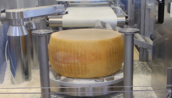 formaggio parmigiano reggiano inizio lavorazione di porzionatura
