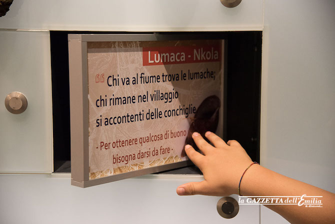 Museo_dArte_Cinese_ed_Etnografico_di_Parma_Gazzetta_dellEmilia00021.jpg