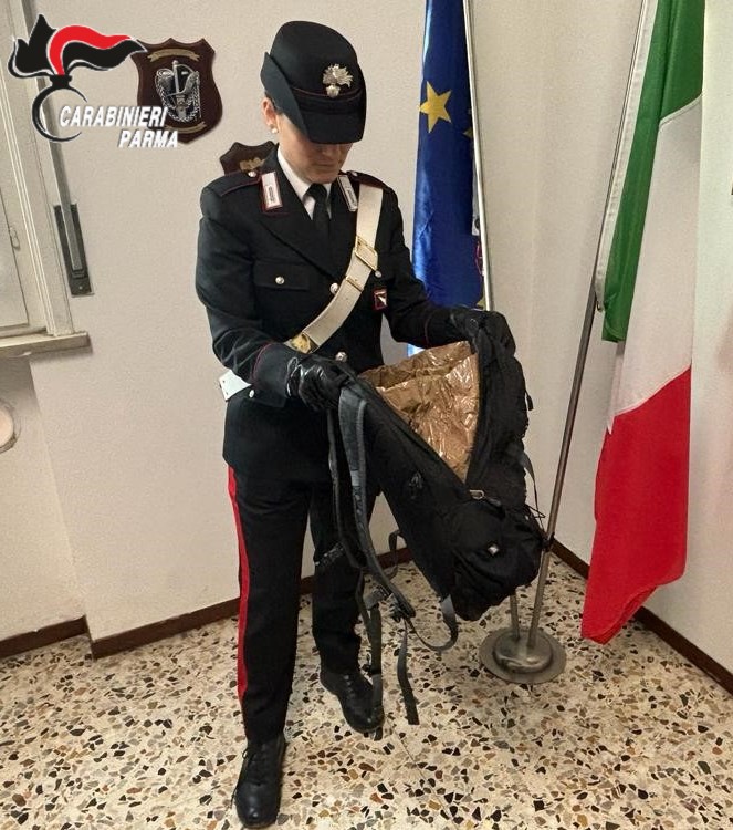 PR_Carabinieri_05.02.2024_Fidenza_foto_x_denuncia_furto.jpg