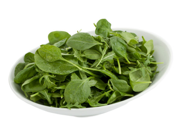 spinaci verdura insalata1