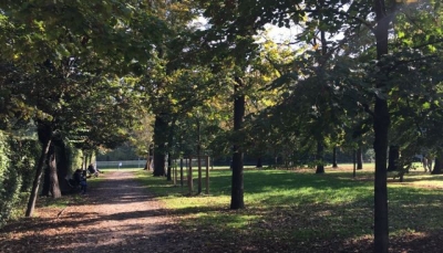 Cadavere al Parco Ducale: lucidità e premeditazione di una vittima della solitudine