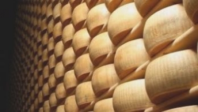 Modena - Rubano oltre 2mila forme di Parmigiano Reggiano: sgominata la banda