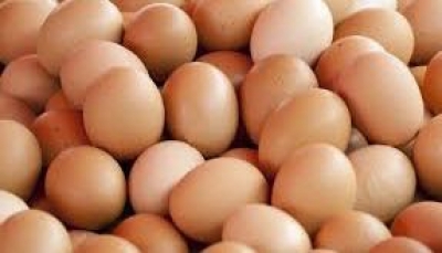 Uova contaminate. Rainieri (Ln): etichettature obbligatorie con indicazione di origine anche per ovoprodotti