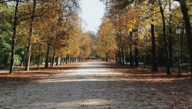 Parma - Picchiato e rapinato: aggredito 64enne al Parco Ducale