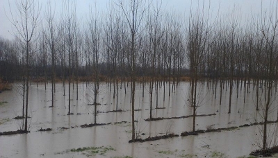 Modena, a causa del maltempo rinforzata la vigilanza sugli argini dei fiumi