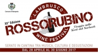 Lambrusco Wine Festival 2017