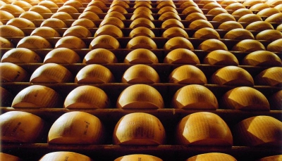 AGEA: appalto per fornitura Parmigiano Reggiano per indigenti