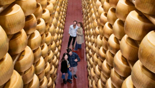 Caseifici aperti: oltre 13.000 visitatori alla scoperta dei segreti del Parmigiano Reggiano