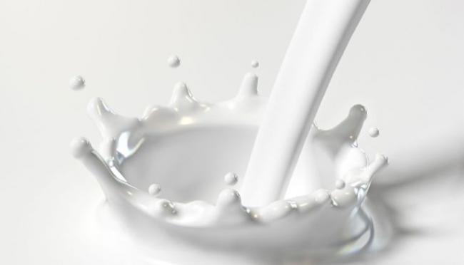 USA, la rete di protezione per i produttori di latte