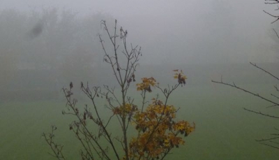 Sissa, la nebbia accende la Domenica de &quot;I Sapori del Maiale&quot;