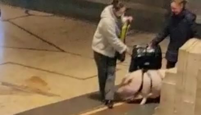 Milano, maiale al guinzaglio in stazione (Video: Non li fanno più i cagnolini di una volta!)
