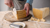 CHEESE 2023: Parmigiano Reggiano Main Partner dell’evento Internazionale di Slow Food