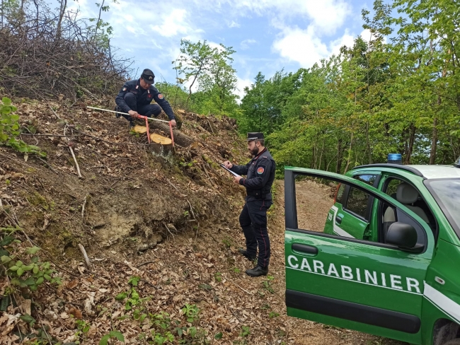 Carabinieri Forestali: controlli nei boschi sui tagli forestali. Contestate una decina di sanzioni per utilizzazioni legnose effettuate in violazione al Regolamento Forestale della Regione Emilia Romagna