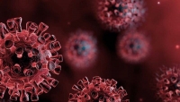 Covid-19 - Monitoraggio settimanale epidemia Coronavirus in Italia (8-15 settembre 2021)