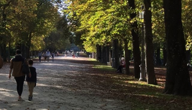 Legambiente al Comune di Parma: No Street Food Festival nel Parco Ducale