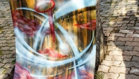 La streetart e l'impegno nel sociale. L'esperienza presso la Cra Bonzani di Varano dè Melegari - Foto e video