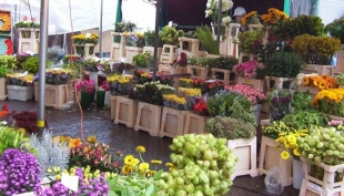 Ognissanti: rischio incremento di venditori abusivi di piante e fiori