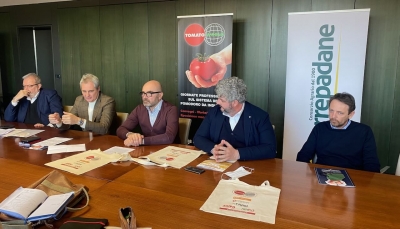 TOMATO WORLD 2022: A Piacenza Expo due giornate dedicate al futuro e all’innovazione per il pomodoro da industria 