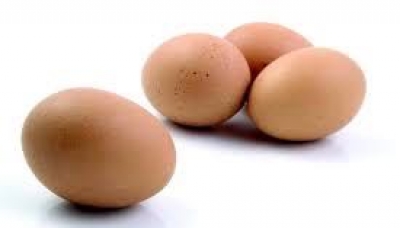 Uova e ovoderivati al Fipronil. Arrivano i provvedimenti di Bruxelles