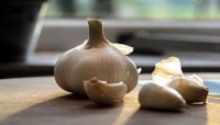 Un nuovo studio rivela le proprietà dell'aglio per combattere le infezioni