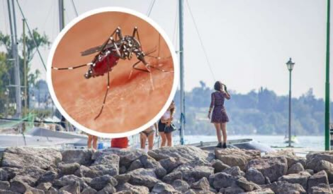 Epidemia di Dengue sul Lago di Garda.