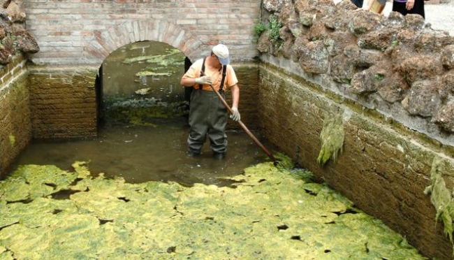 Modena - Partiti i lavori straordinari di pulizia del laghetto ai Giardini ducali