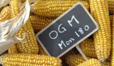 OGM. Positivo l&#039;accordo sugli OGM per la CIA.