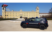 Colorno: fugge all'alt dei Carabinieri identificato e denunciato dopo poche ore