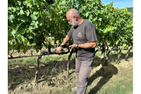 Agritech e pratiche agricole sostenibili: parte in Italia il primo progetto all'avanguardia a livello mondiale dedicato al carbon farming in viticoltura