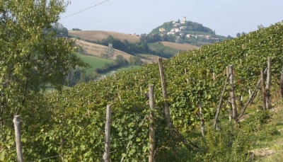 Piacenza - Tenuta Villa Tavernago presenta a Vinitaly due nuovi vini biologici senza solfiti aggiunti