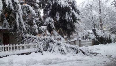 SCANDIANO: emergenza neve, sospeso il mercato settimanale di lunedì 9 febbraio