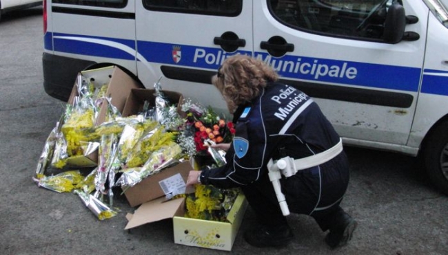 Piacenza - I controlli della Polizia Municipale contro l&#039;abusivismo commerciale per la Festa della Donna