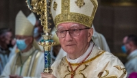Cardinale Pietro Parolin: 