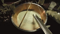 Lattiero Caseario: Stabile il Grana Padano mentre è in risalita il “Parmigiano”  