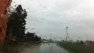 foto di repertorio - precipitazioni piovose