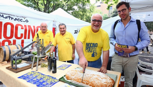 Weekend di festa in centro storico: a Modena ritorna Nocinopoli