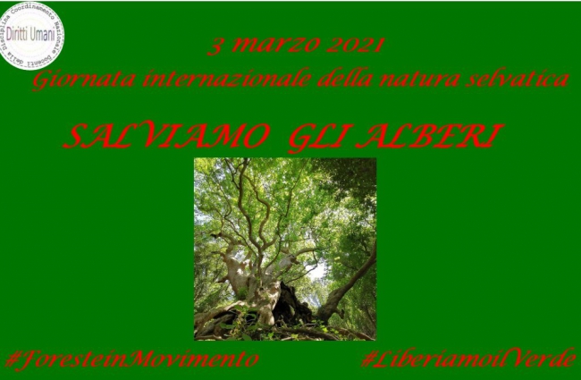 3 marzo: Giornata Mondiale della Natura Selvatica