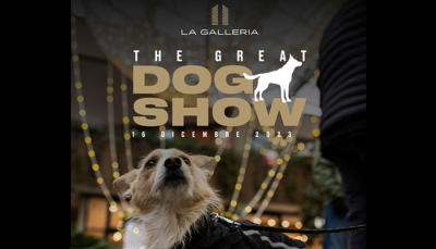 Sabato 16 dicembre a Parma una giornata dedicata ai nostri amici cani con &quot;The Great Dog Show&quot; a La Galleria. VIDEO interviste